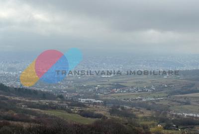 Teren extravilan 1000 mp, Valea Fanatelor - 2