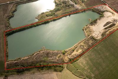 Balta/Balastiera 16.6 ha in Santau la 10 min de Oradea - 1