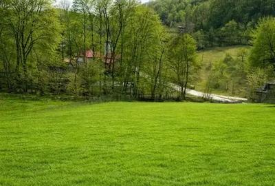 Teren intravilan de 1688 mp, în Sultanu