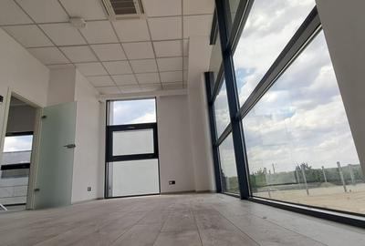 Hala de inchiriat 400 mp depozitare si productie soseaua de centura Chitila - 11