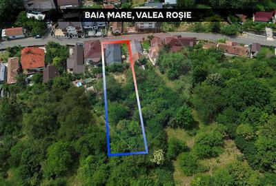 Casa de vanzare completa renovata Valea Rosie La 500 m de Parcul Mare - 10