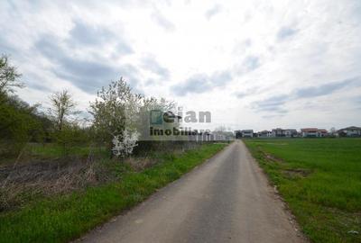 Snagov Crizantemelor Teren 3200mp, d 72ml, gaz, curent, asfalt, padure - 5