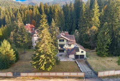 Proprietate cu potențial uriaș – Timișul de Sus – Brașov - 1