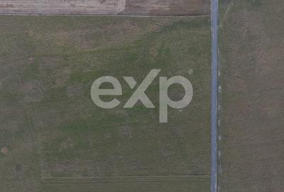 Teren 11.600 mp – Râșnov, zona Tabăra, 230 m de DN 73 - 9