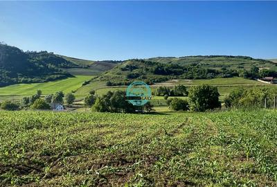 Vand teren intravilan in Sanisor cu suprafata de 4946 mp - 5