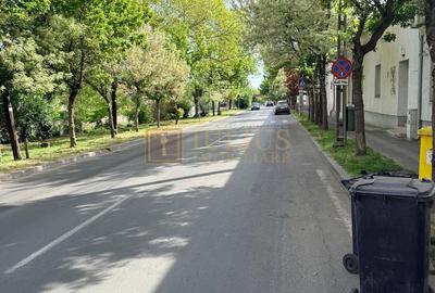 2 camere| Iosefin-vis a vis de Bega |zona superba| loc de parcare| curte comuna| - 15