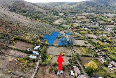 Teren intravilan NICULITEL, zona deosebita, 3044MP - 1