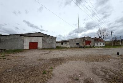 HALE INDUSTRIALE | CLADIRE BIROURI | TEREN 7000 MP | GHEGHIE BIHOR - 1