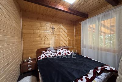 Casa din lemn, zona muntoasa, cu rau, la cheie, Ribita, Hunedoara - 13