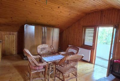 Casă S+P+M | Dârvari, Tămădău Mare | Teren 3000 mp - 7