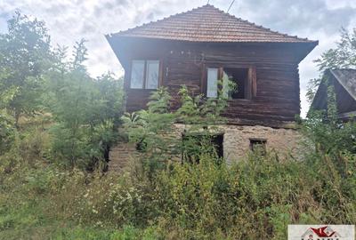 Casa noua de vanzare in Poiana Ampoiului - Metes - 9