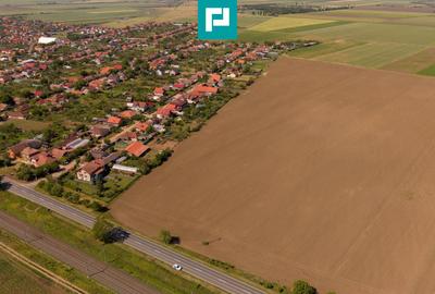 Teren agricol extravilan de 28500 mp, în Șofronea