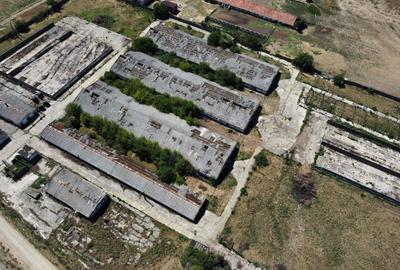 Spațiu industrial -fermă Orțișoara - 22