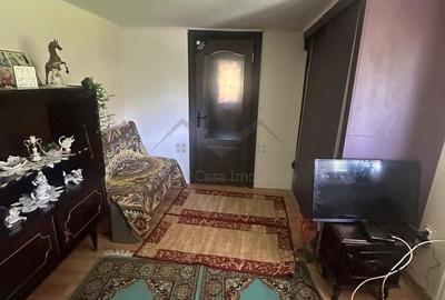 Casa Barnova Pietrarie 1300mp teren si lac privat - 4