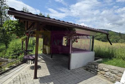 Vila din padure in Valea Doftanei - 39