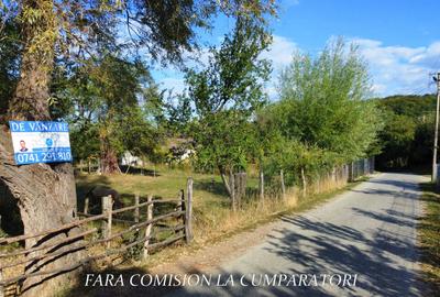TEREN 5274 MP, CADRU NATURAL MINUNAT - 1