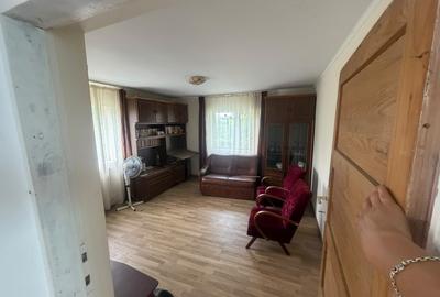 Casa - Vila | Purcareni Micesti Arges | S+P+1+M| teren 4900mp | Livada - 4