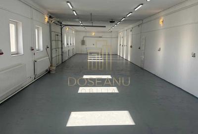 HALE INDUSTRIALE | DE INCHIRIAT | ORADEA - 4