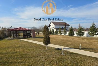 Vilă de lux Izvorani-653 mp-7500 mp teren-Piscina-Sauna - 17