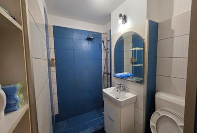 2 camere - Ion Berindei - Colentina - 8