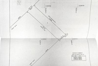 Teren agricol extravilan de 110000 mp, în Crângurile