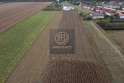 Teren Construcții intravilan de 12000 mp, în Moara Vlăsiei
