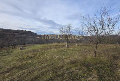 Teren intravilan, 6000mp, priveliste, comuna Baciu, zona Suceagu - 3