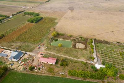 Casă cu teren 13 418 mp intravilan - 29