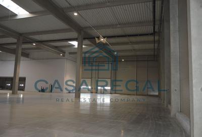 Hală industrială 7100mp – locație strategică - Biharia - zona metropolitană - 20
