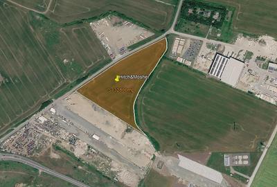 Teren intravilan 32.800 mp Dumbrăvița-Covaci | hale / investiție - 6