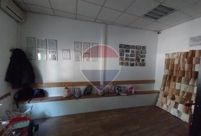 Casă / Vilă cu teren de inchiriat Km 0 langa Primarie - 12