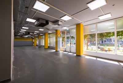 SPAȚIU COMERCIAL  | 231 MP | VAD COMERCIAL - 4