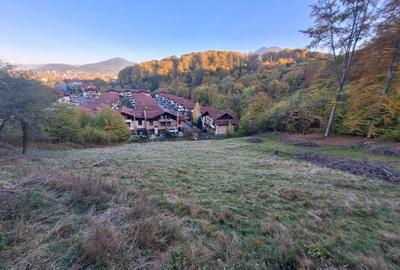 Teren intravilan Brasov Strada Ciresului 2900 mp - 4