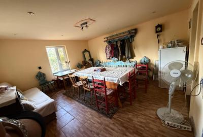 CASĂ DE VACANȚĂ ÎN GRADINA VIILOR CAREI CU 1.924 MP TEREN FRONT 15M - 8