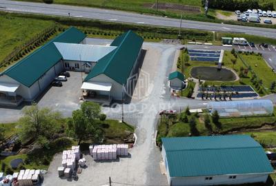 Teren de închiriat 1.500 mp | Expunere la DN | Feleacu | - 3