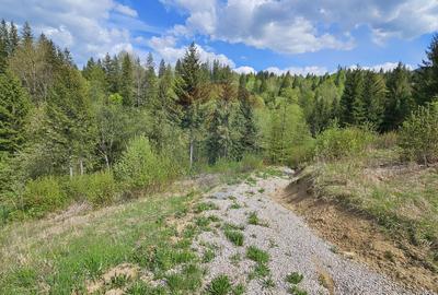 Teren 4048mp Campulung Moldovenesc, Strada Izvorul Alb, Suceava - 21