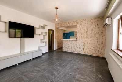 2 camere 73 mp | Terasă 75 mp | Boxă de 23 mp | zona Casa de cultura - 1