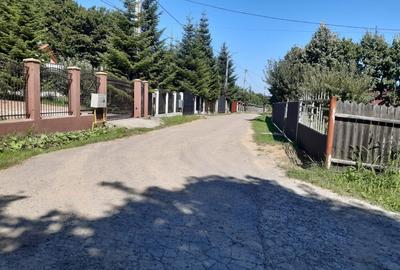 Teren agricol extravilan de 4400 mp, în Păun