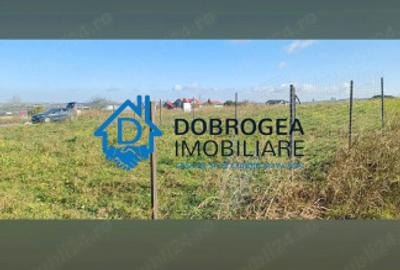 Teren Construcții intravilan de 481 mp, în Câșlița