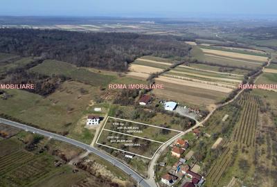 Teren intravilan de 6650 mp, în Berchez