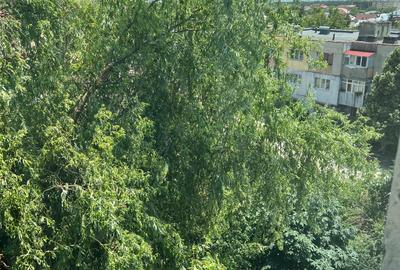 Apartament 3 camere semidecomandat, Valea Călugărească – de renovat - 14