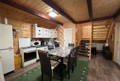 Casa din lemn, zona muntoasa, cu rau, la cheie, Ribita, Hunedoara - 11