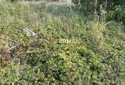 Teren Construcții intravilan de 480 mp, în Partoș