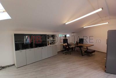 Loft spatios la Cismigiu - 4