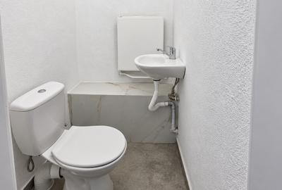 Casă individuală cu 840 mp curte, Turnișor - 10