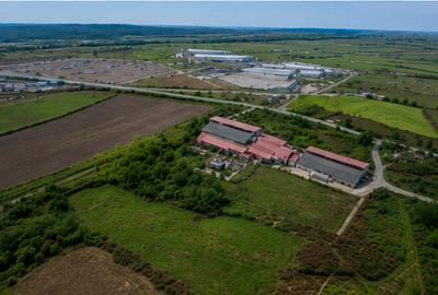 Teren agricol intravilan de 11419 mp, în Agnita