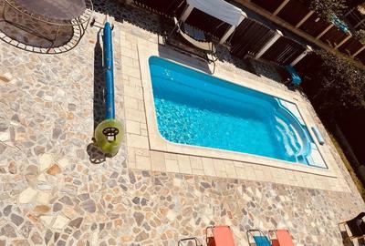Refugiu elegant cu piscină privată în inima Iancu Nicolae - 1
