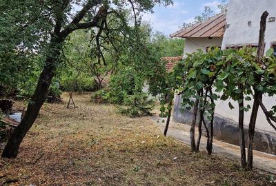 Casă individuală cu 3 camere în Adunații Teiului