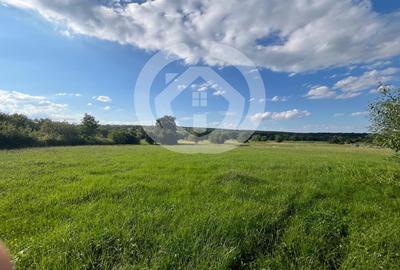 Teren intravilan constructii 6668 mp - Rasinari, Sibiu - 4