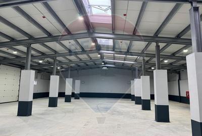 Spațiu industrial, hala moderna Fundulea - ideal productie depozitare - 10